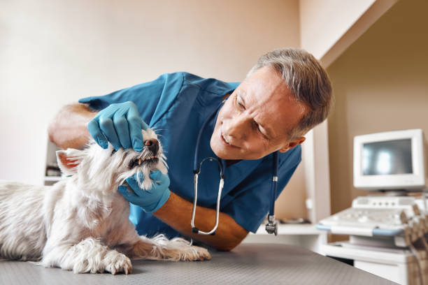 Best Emergency Tooth Extraction in Hickory, NC